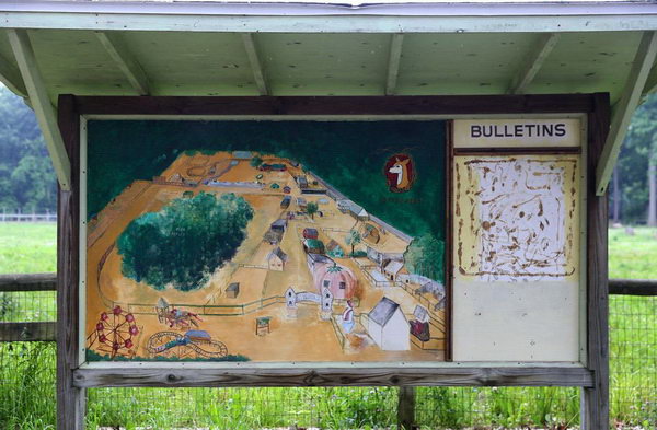 Deer Forest - 2015 Photos From Mlive (newer photo)